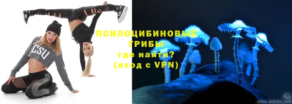 соль ск Алзамай