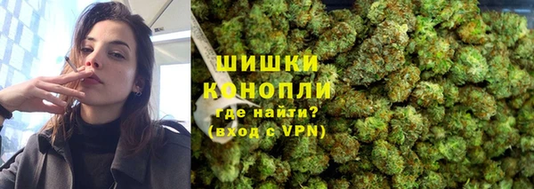 соль ск Алзамай