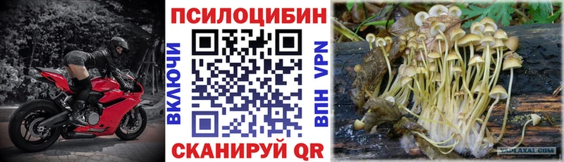 Псилоцибиновые грибы Magic Shrooms  дарнет шоп  Нижний Новгород 